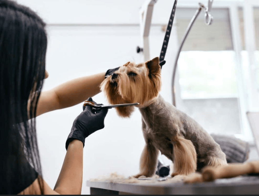Nail Trims